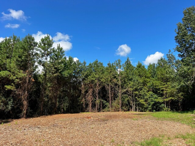 03 Eugene Walker Rd, Huntington, TX 75980 - photo 2