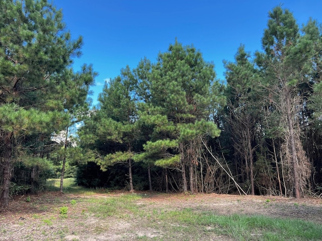 03 Eugene Walker Rd, Huntington, TX 75980 - photo 3