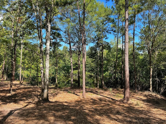 03 Eugene Walker Rd, Huntington, TX 75980 - photo 5