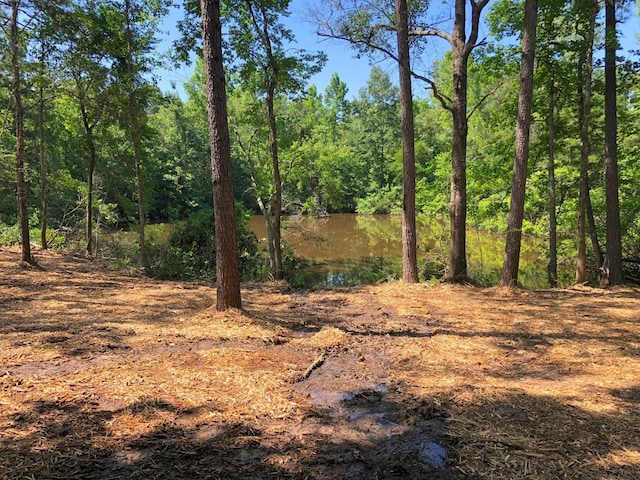 03 Eugene Walker Rd, Huntington, TX 75980 - photo 7