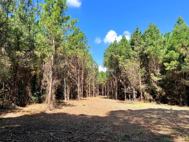 03 Eugene Walker Rd, Huntington, TX 75980 - photo 10