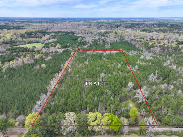 03 Eugene Walker Rd, Huntington, TX 75980 - photo 13
