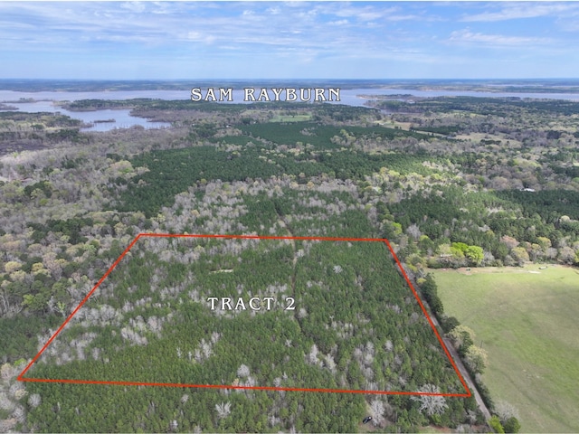 03 Eugene Walker Rd, Huntington, TX 75980 - photo 15