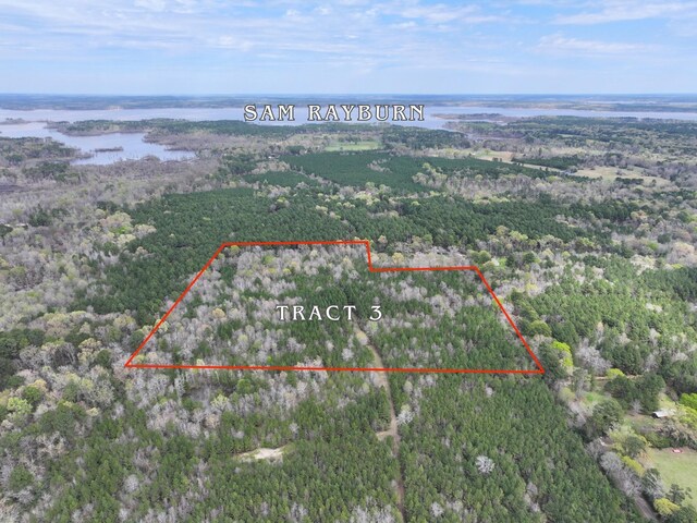03 Eugene Walker Rd, Huntington, TX 75980 - photo 17