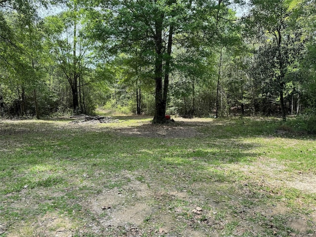 10586 Holland Rd, Kountze TX, 77625 land for sale