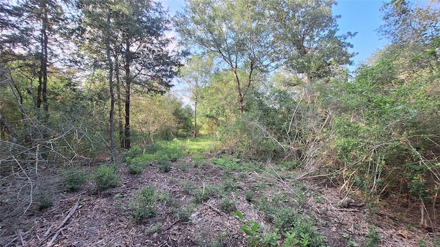 1014 Beaver Lake Dr, Caldwell, TX 77836