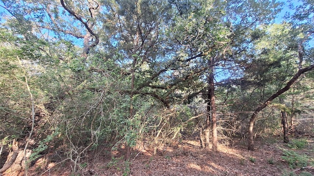 1014 Beaver Lake Dr, Caldwell, TX 77836