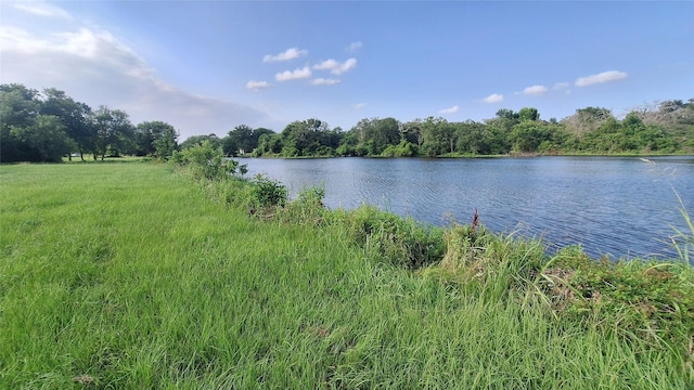 1014 Beaver Lake Dr, Caldwell, TX 77836