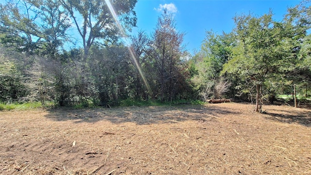 1014 Beaver Lake Dr, Caldwell, TX 77836