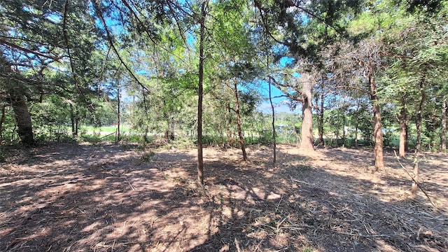 1014 Beaver Lake Dr, Caldwell, TX 77836