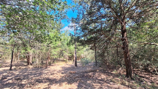 1014 Beaver Lake Dr, Caldwell, TX 77836