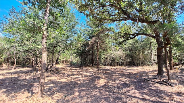 1014 Beaver Lake Dr, Caldwell, TX 77836