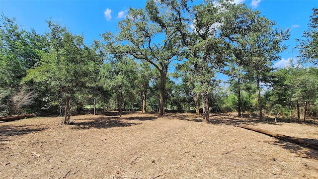 1014 Beaver Lake Dr, Caldwell TX, 77836 land for sale