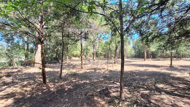 1014 Beaver Lake Dr, Caldwell, TX 77836