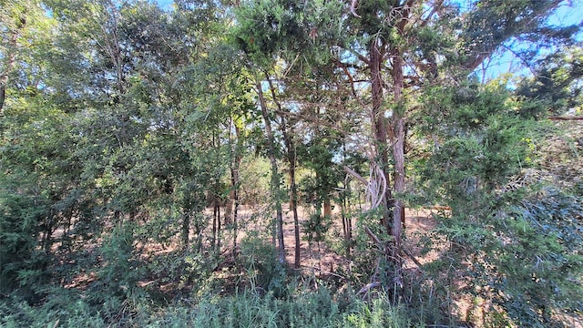 1014 Beaver Lake Dr, Caldwell, TX 77836