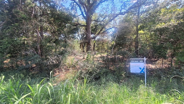 1014 Beaver Lake Dr, Caldwell, TX 77836