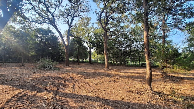1014 Beaver Lake Dr, Caldwell, TX 77836