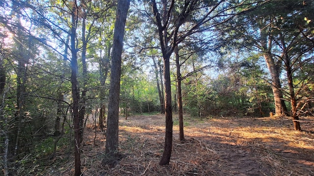 1014 Beaver Lake Dr, Caldwell, TX 77836
