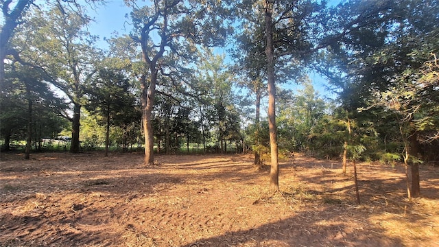 1014 Beaver Lake Dr, Caldwell, TX 77836