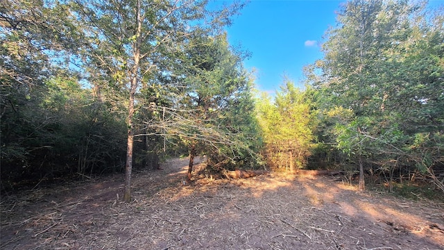 1014 Beaver Lake Dr, Caldwell, TX 77836