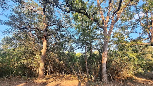 1014 Beaver Lake Dr, Caldwell, TX 77836