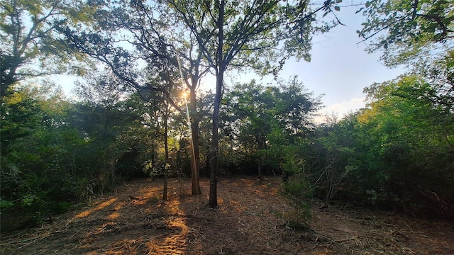 1014 Beaver Lake Dr, Caldwell, TX 77836