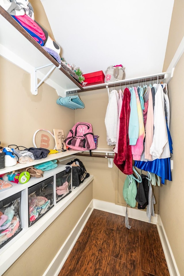 walk in closet featuring dark wood-type flooring