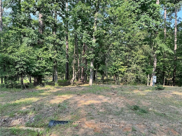 20 Lower Cove Dr, Point Blank, TX 77364 - photo 3