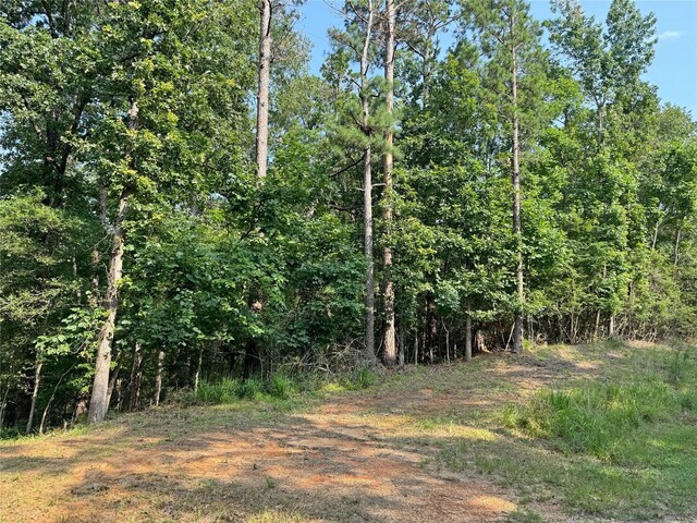 20 Lower Cove Dr, Point Blank, TX 77364 - photo 11