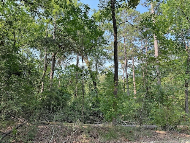 20 Lower Cove Dr, Point Blank, TX 77364 - photo 12