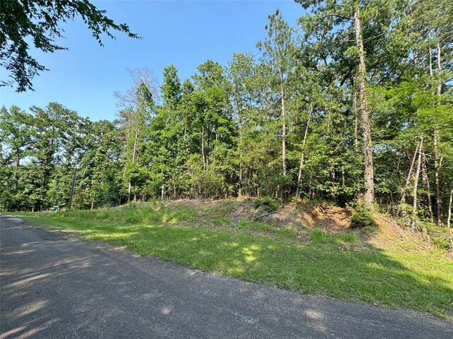 20 Lower Cove Dr, Point Blank, TX 77364 - photo 13