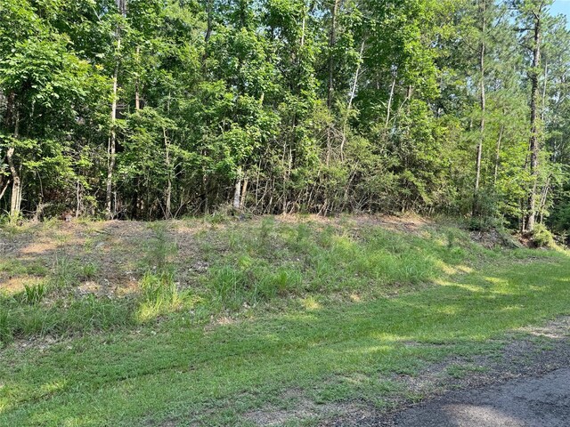 20 Lower Cove Dr, Point Blank, TX 77364 - photo 14