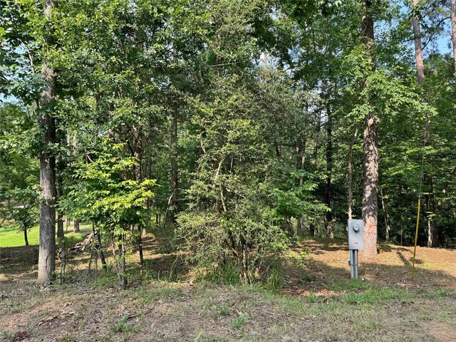 20 Lower Cove Dr, Point Blank, TX 77364 - photo 2