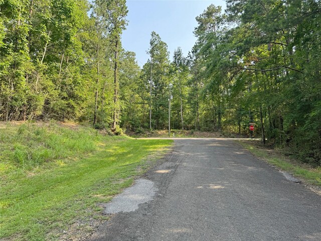 20 Lower Cove Dr, Point Blank, TX 77364 - photo 10