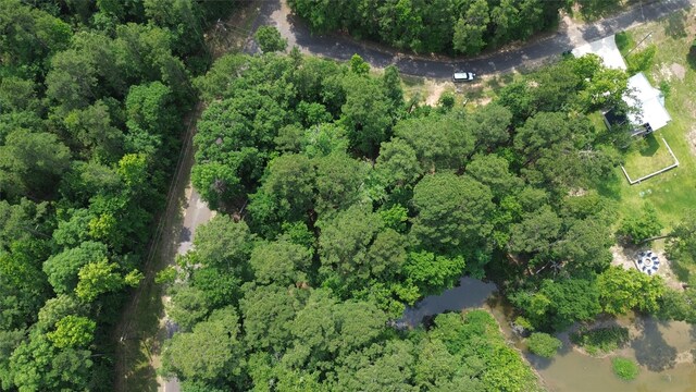 20 Lower Cove Dr, Point Blank, TX 77364 - photo 25