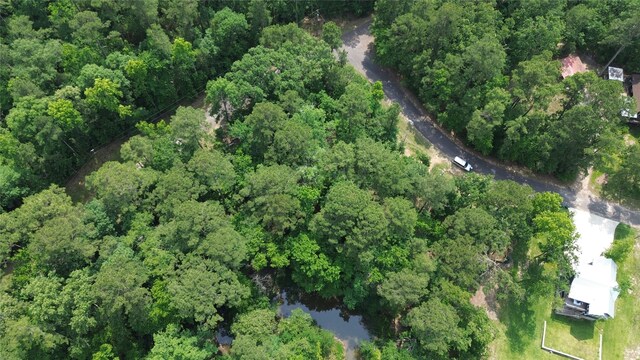 20 Lower Cove Dr, Point Blank, TX 77364 - photo 27