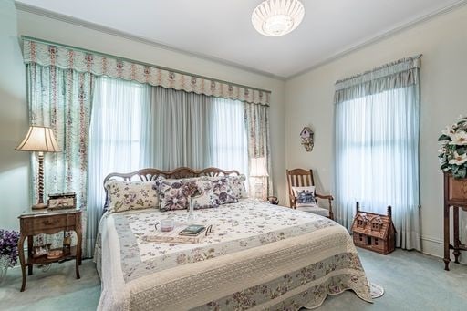 carpeted bedroom featuring multiple windows