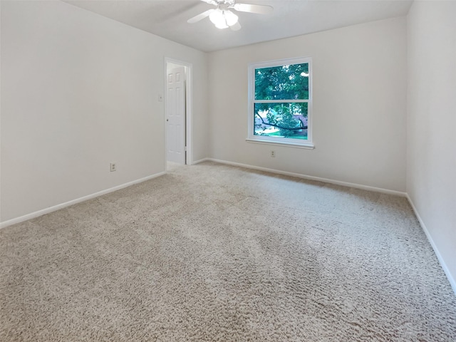 spare room featuring ceiling fan and carpet floors