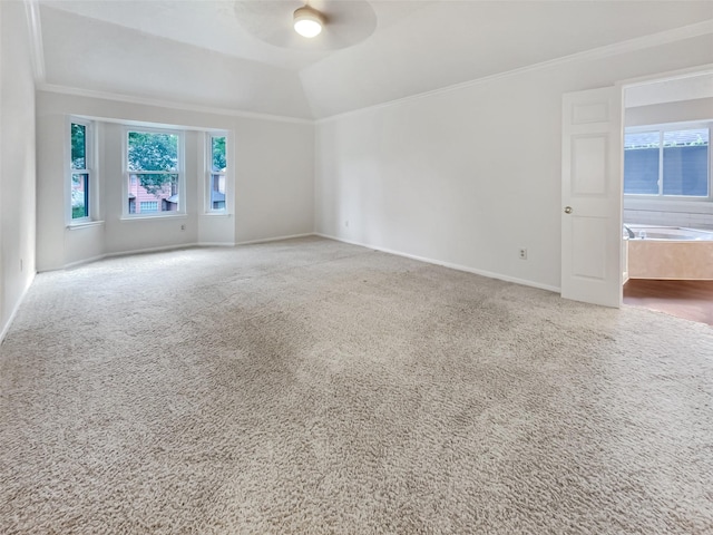 carpeted spare room with ceiling fan, lofted ceiling, and ornamental molding