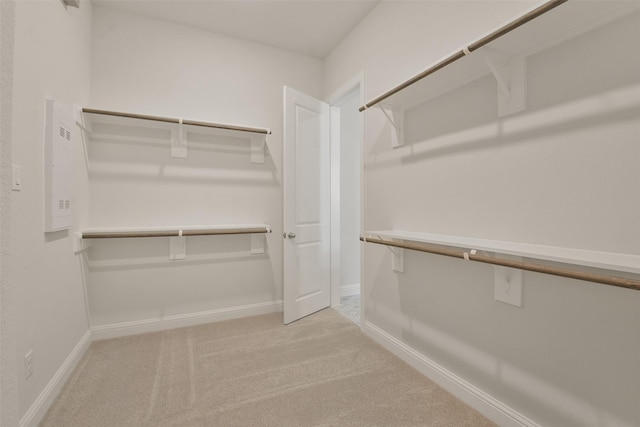 spacious closet with light carpet