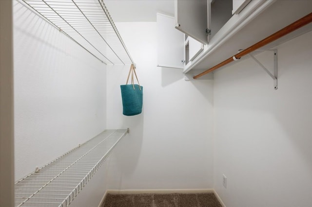 spacious closet featuring carpet flooring