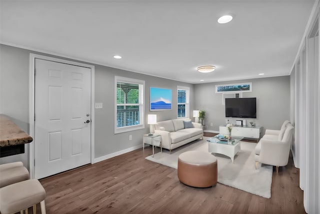 living room with crown molding and wood-type flooring