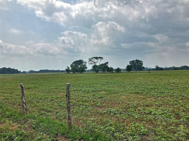 TBD Neiser Lane, Weimar, TX 78962 - photo 2