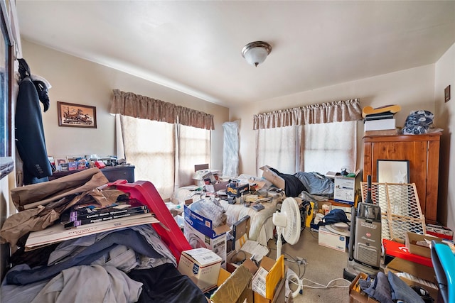 bedroom with carpet flooring