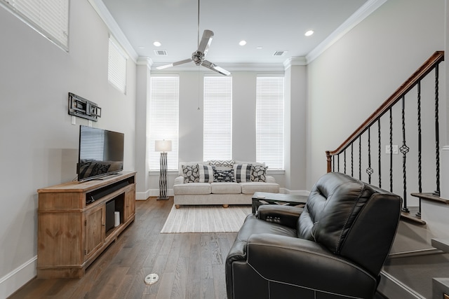 living room with dark hardwood / wood-style flooring and a wealth of natural light