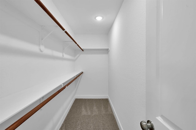 walk in closet featuring carpet