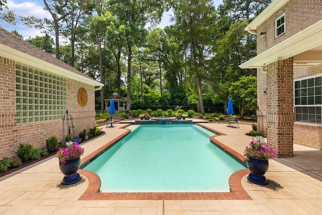 view of pool featuring a patio area