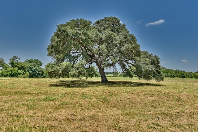 4914 Hartfield Rd, Round Top TX, 78954 land for sale