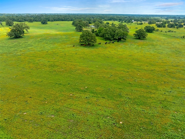 Listing photo 3 for TBD Fm 141, Giddings TX 78942