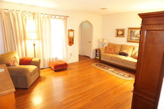 living room with wood-type flooring